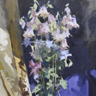 Klematis